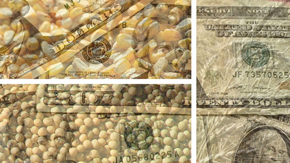 Grain with money overlay