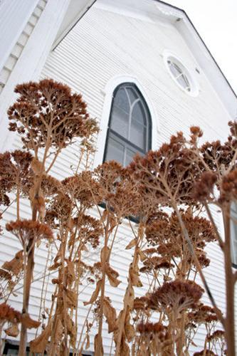 Swedona Rural Church 2
