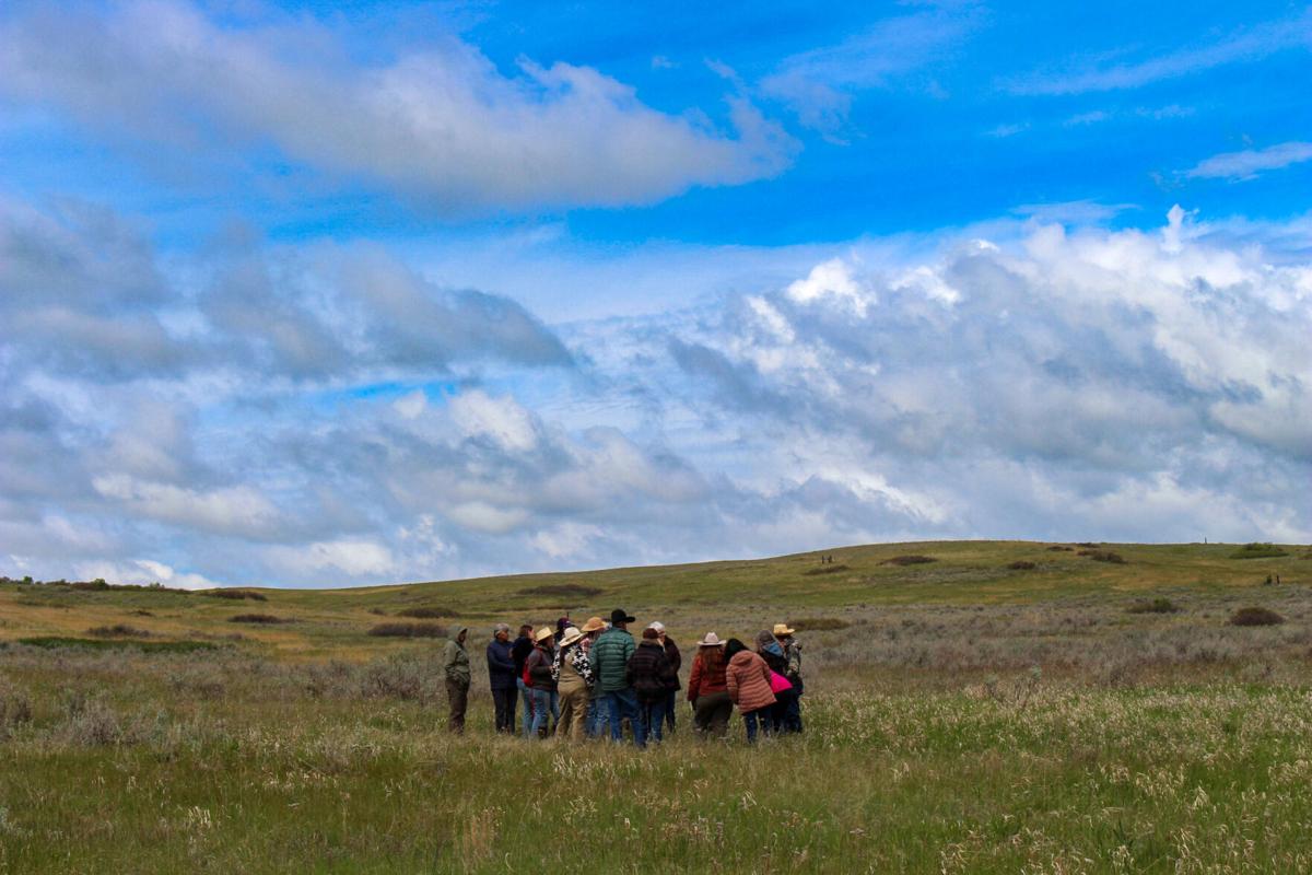 Women in Ranching offers community space for learning, support