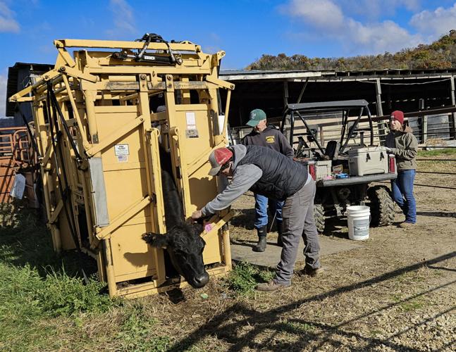 Kaleb Ellis, Jim Ellis and Amy Ellis