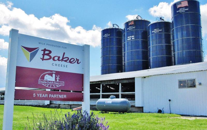 Double Dutch Dairy and farm sign