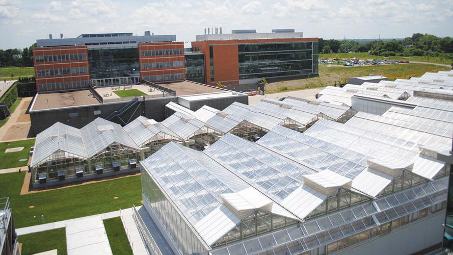Greenhouses at the Donald Danforth Plant Science Center