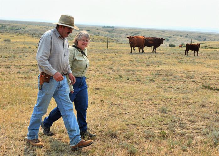 Dale and Janet Veseth