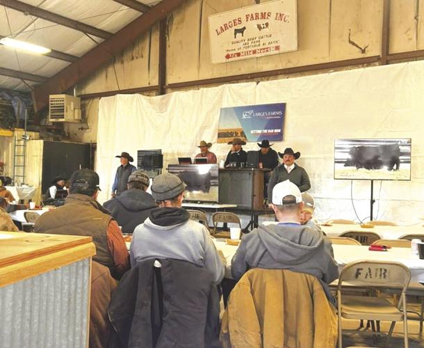 PPR Gittlein (4) - worked.jpg