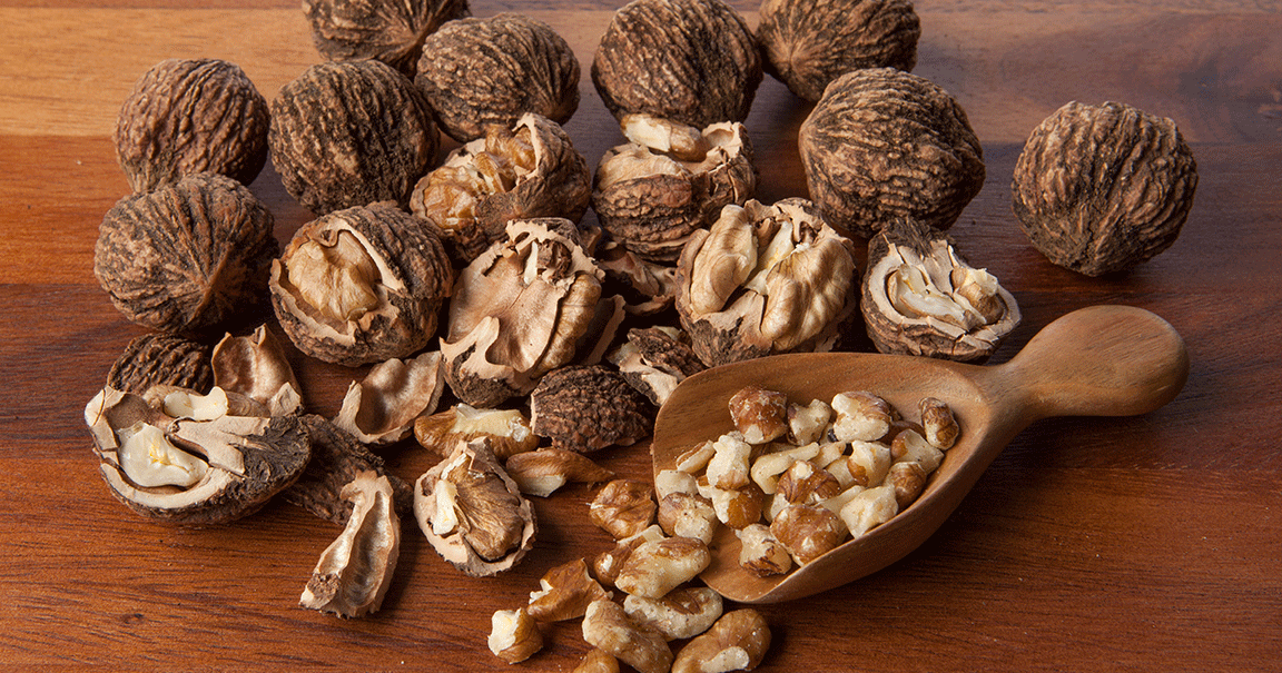 Wild black walnuts bring bold flavor to recipes