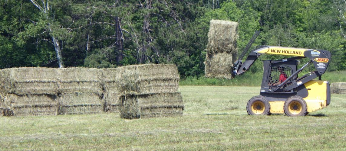 Hay bales