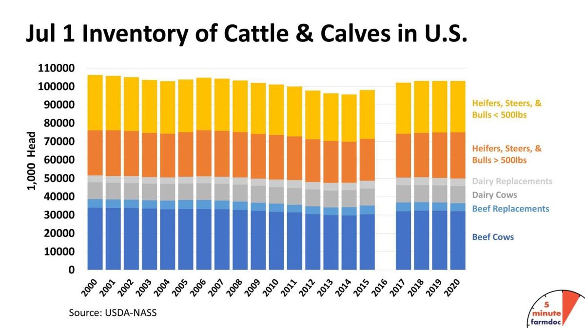 Cattle Cycle Chart
