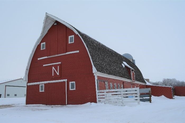 Nigg barn