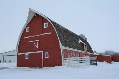 Nigg barn