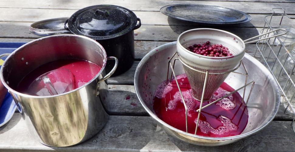 Chokecherries