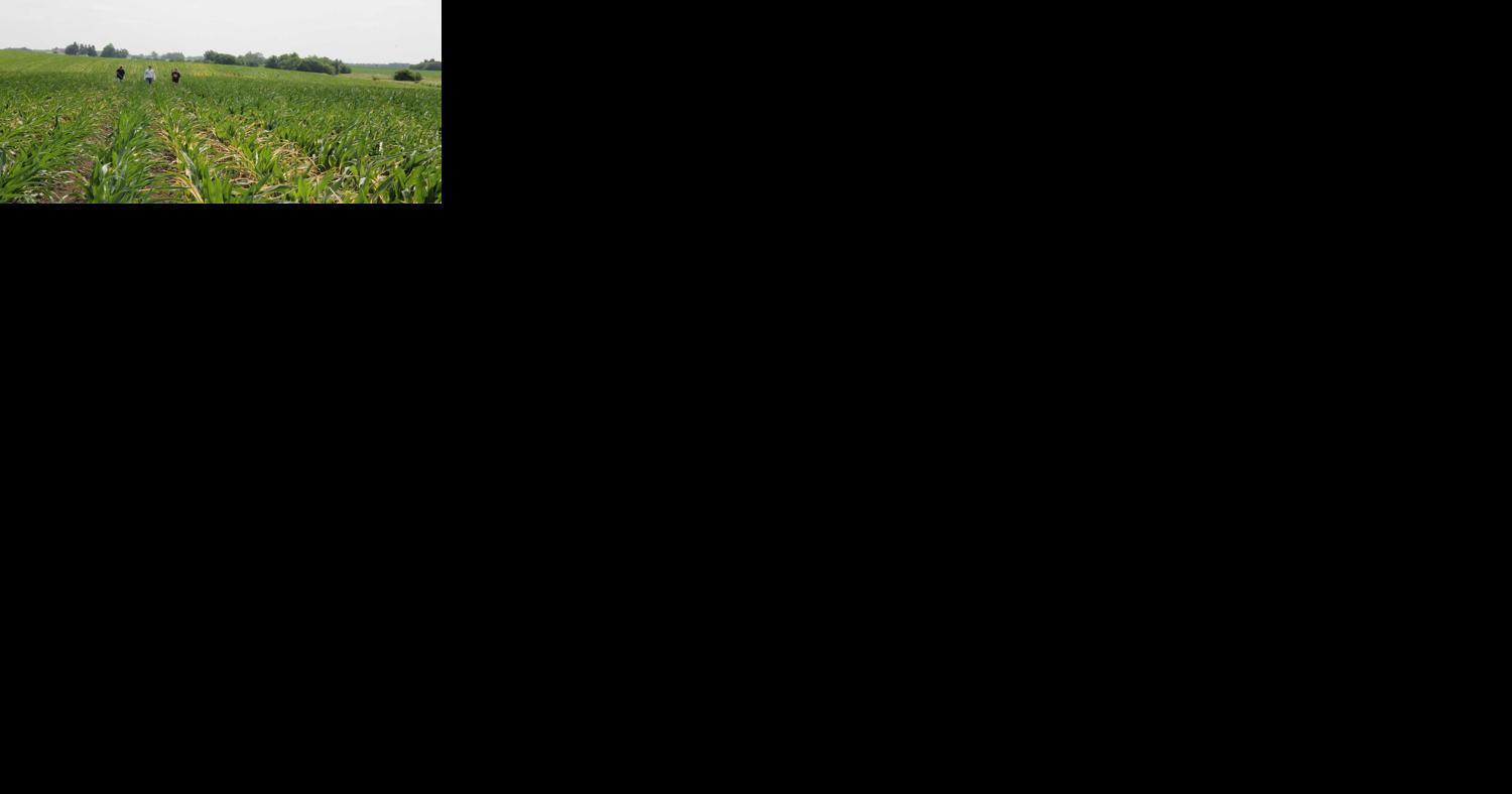 Organic demand continues to grow - Vimarsana News