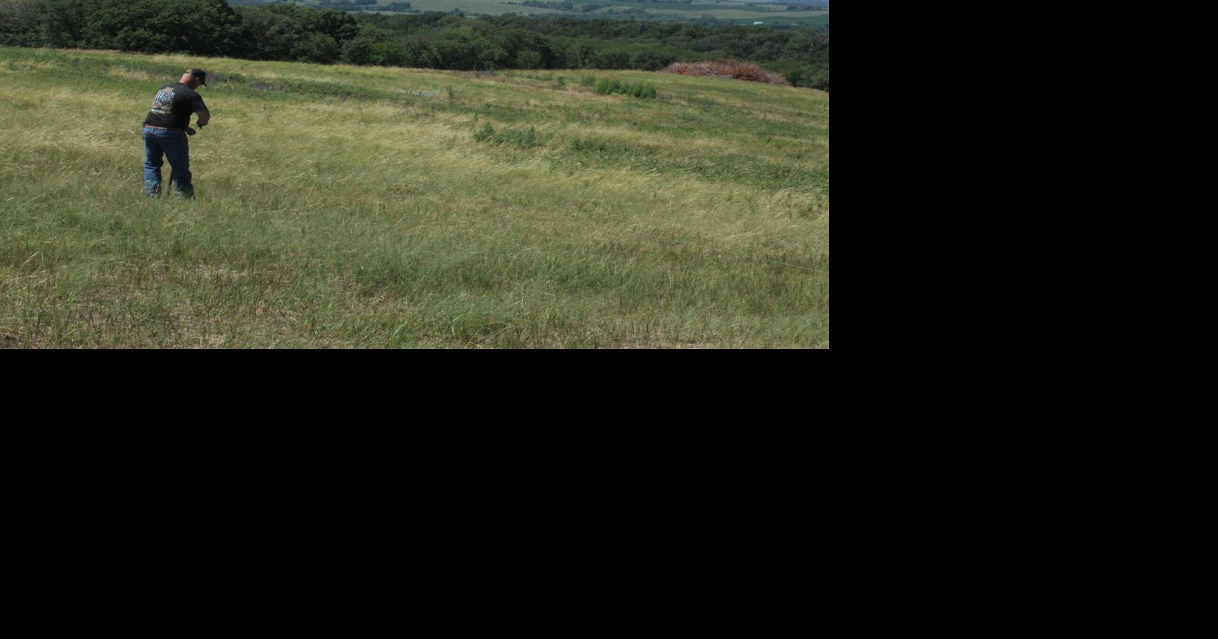 A gold star ranch