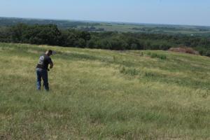 Hochstein Ranch (8).JPG