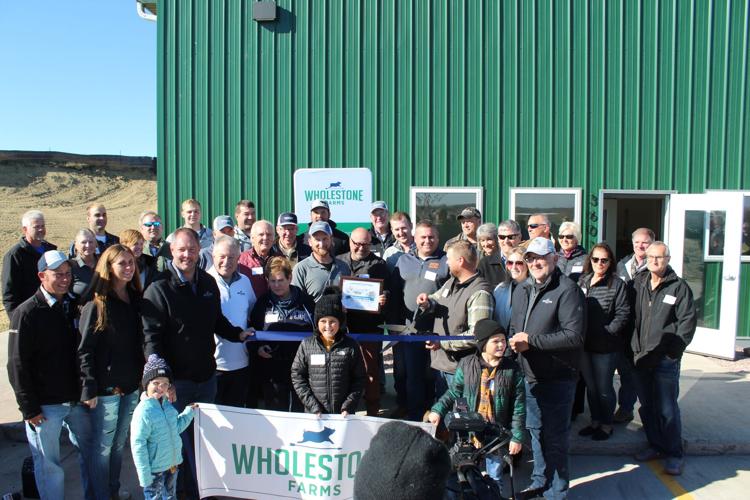 Wholestone butcher (17).JPG