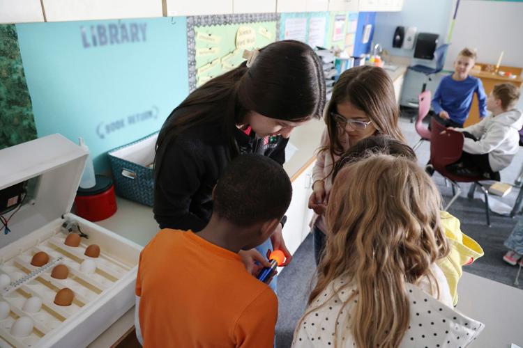 Embryology 50 years 1 Candling at Trinity Lutheran.jpg