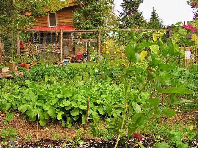 Market garden