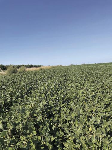 CW Eitemiller 4 worked.jpg