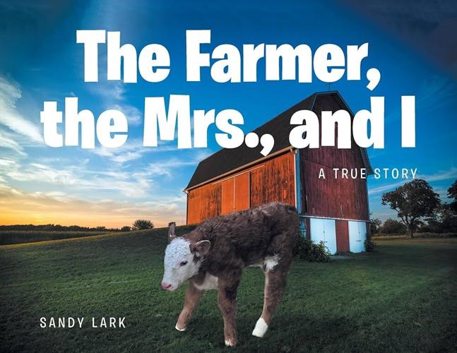 Lark 1.jpg