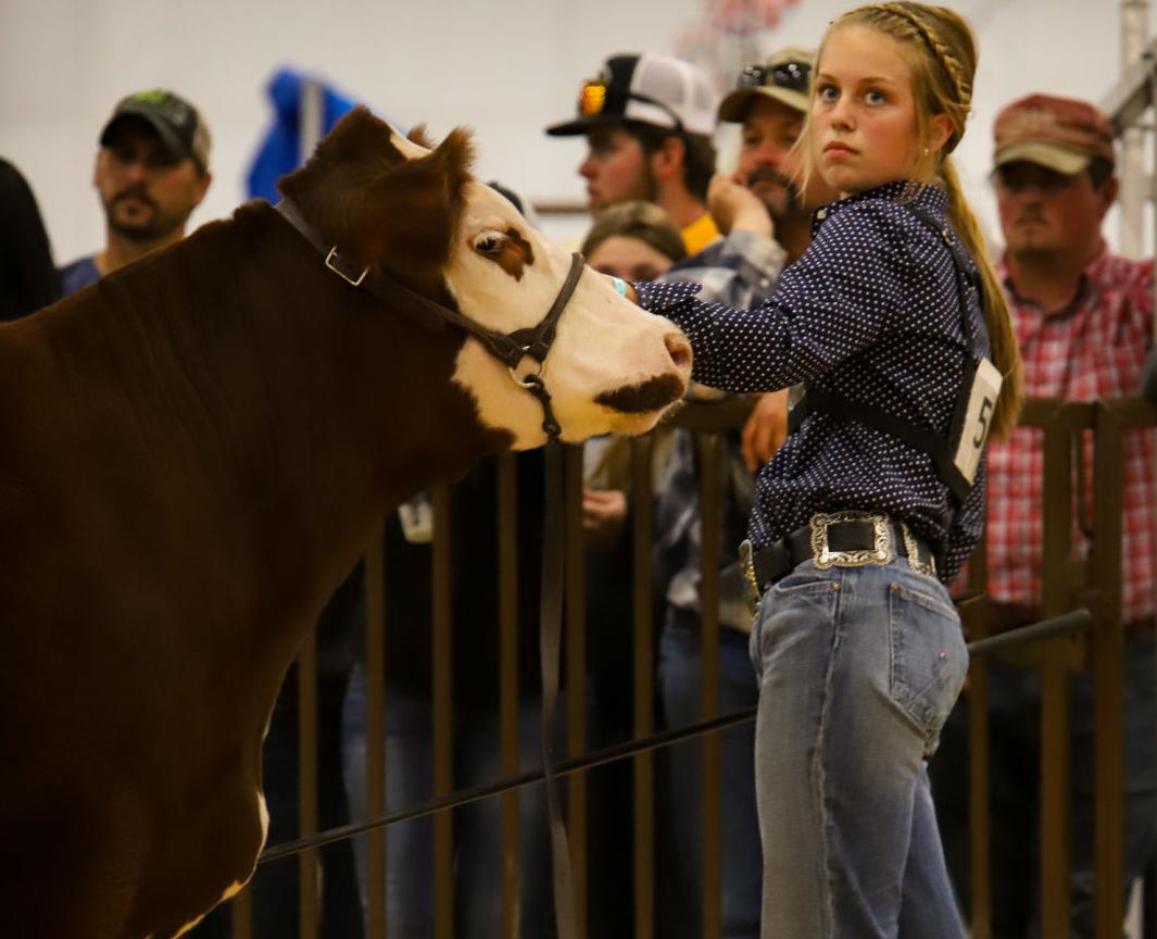 County fairs across Montana will look different in 2020