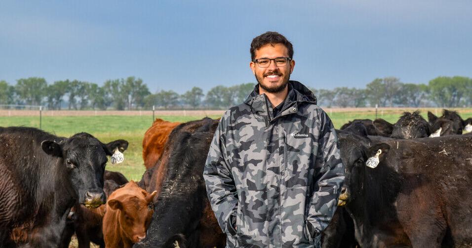 Pedro Jota Fernandes