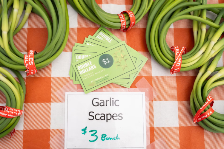 Garlic scapes