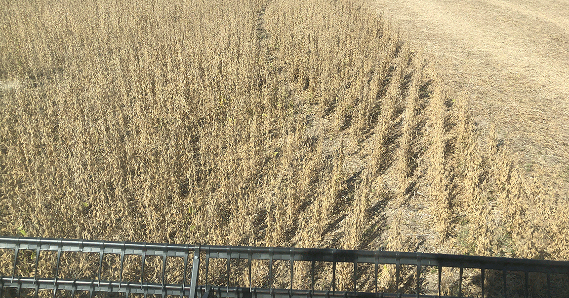 Harvest prep includes taking stock of fields