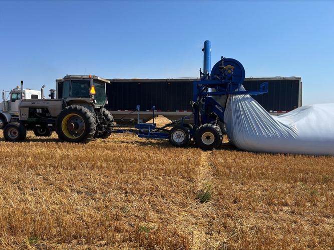 Kitzmans bag in the field