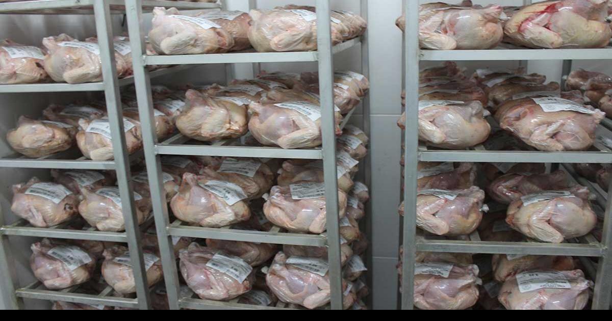 Resurgent bird flu wiping out egg, turkey supplies