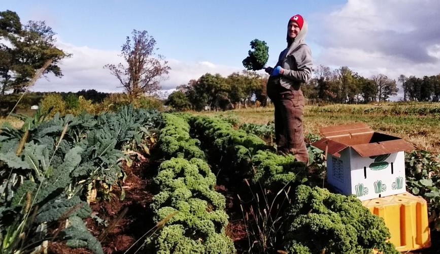 Ayla Graden-Dodge in vegetable field