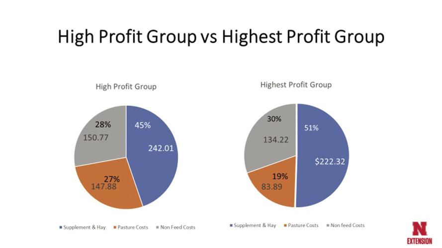 Cattle benchmarking 1.jpg