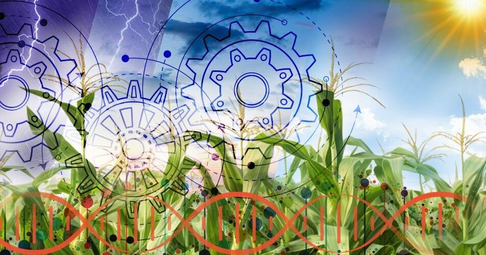 Genomic selection has potential