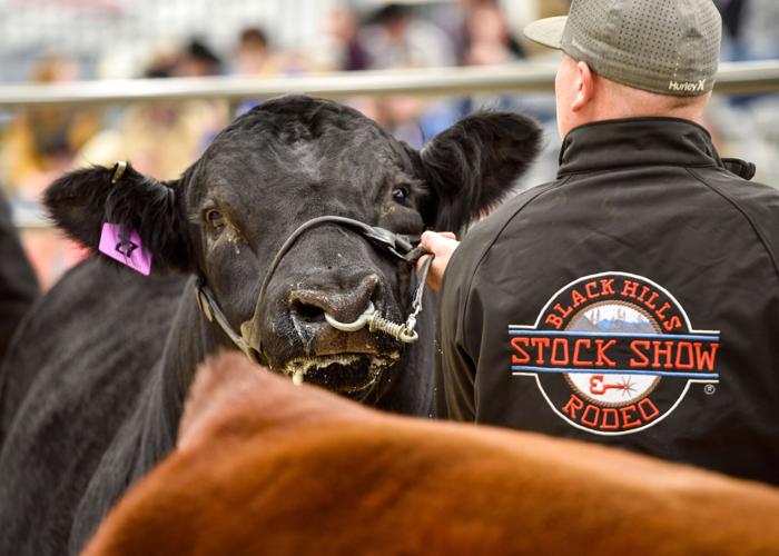 Black Hills Stock Show beefs up offerings for 2021