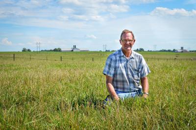 Tim Phillips in tall fescue field