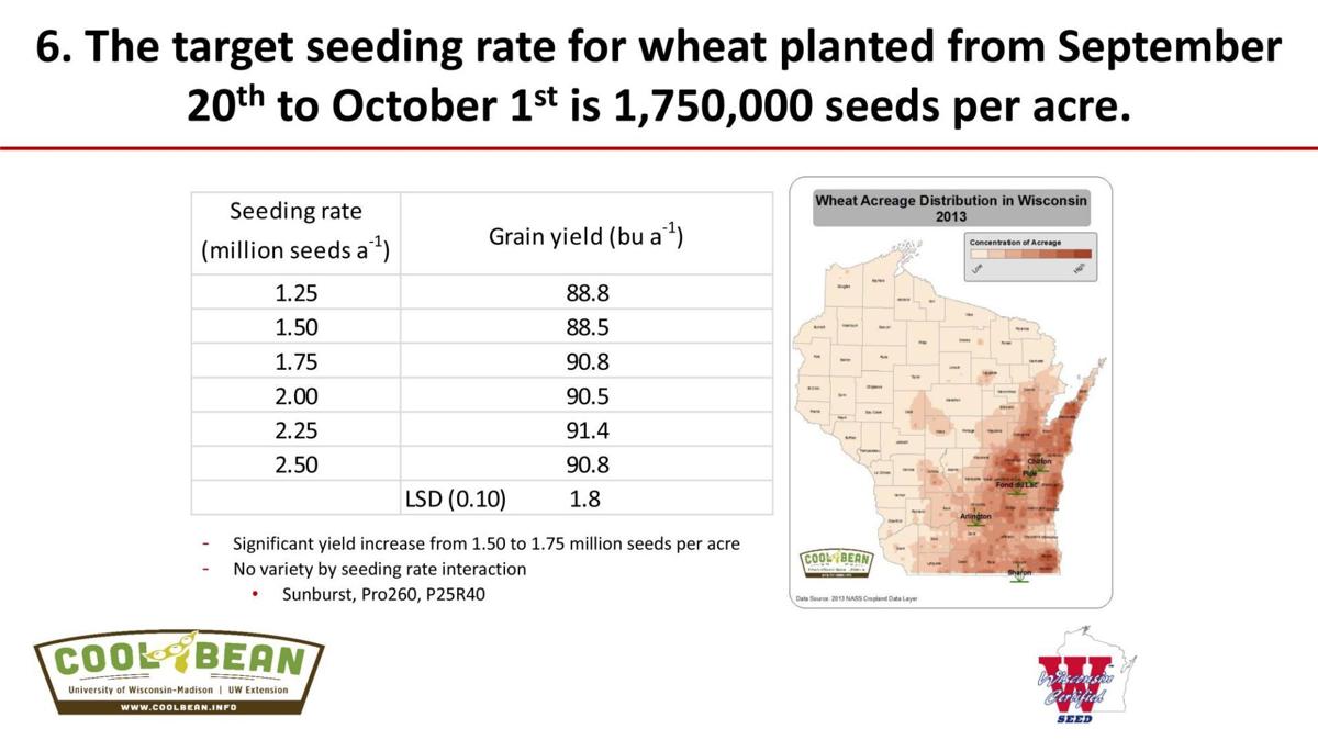 Target seeding rate