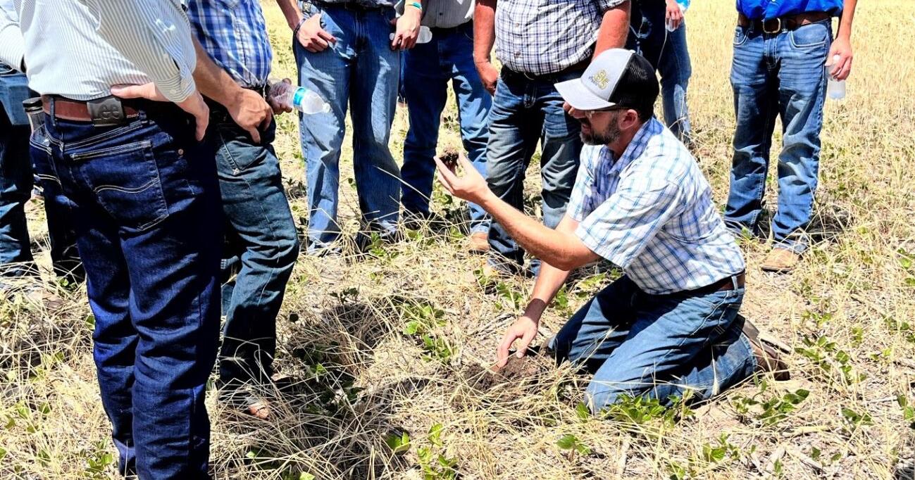 Rebels with a cause: Graze Master Group on a mission to renew soil health - Vimarsana News