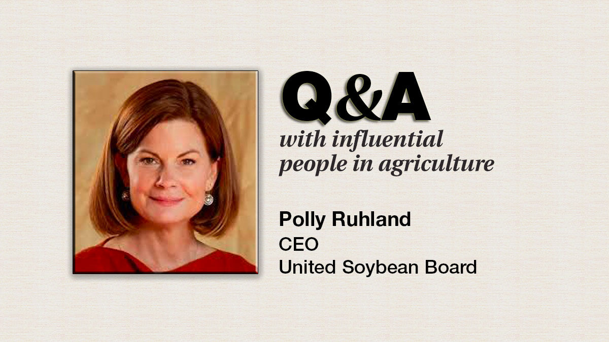 Q&A Polly Ruhland