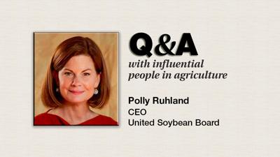 Q&A Polly Ruhland