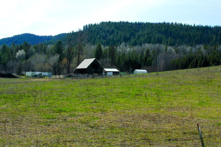 Ramstead Ranch_1591.jpg