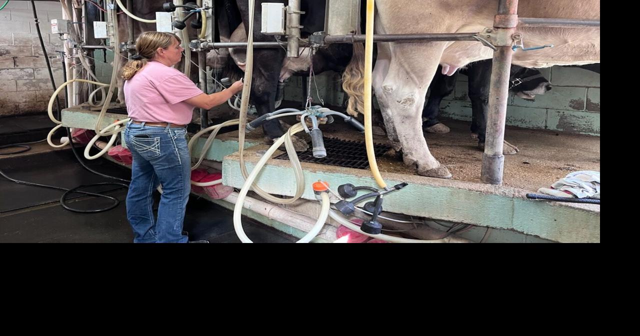 Briar Rose Farms about to bloom