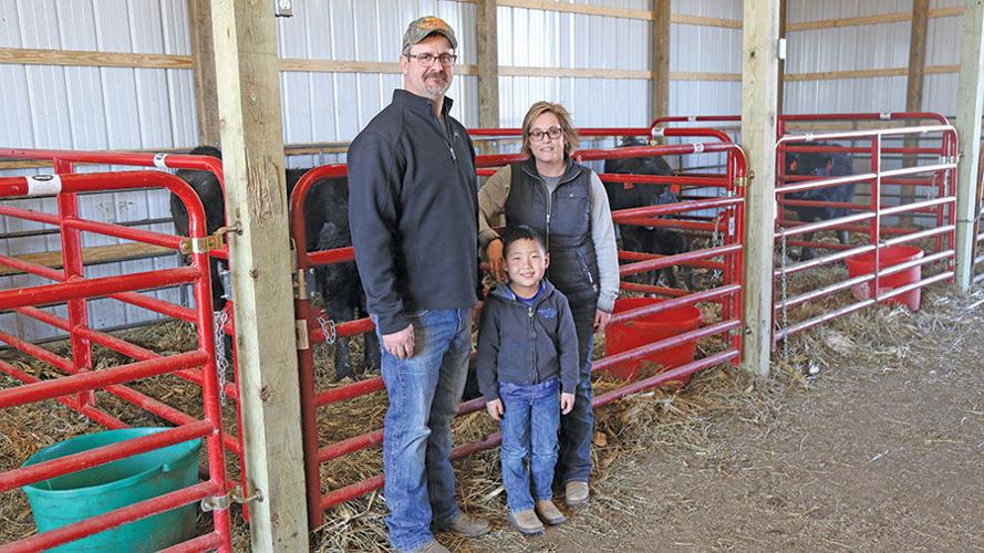 Burgoin  new calving shed