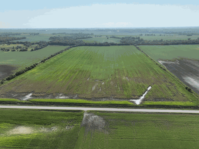 Hillebo-flood-field-5.gif