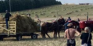 Threshing event reminds Bergquist of childhood