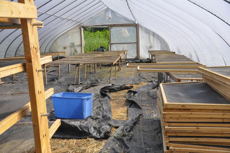 Greenhouse