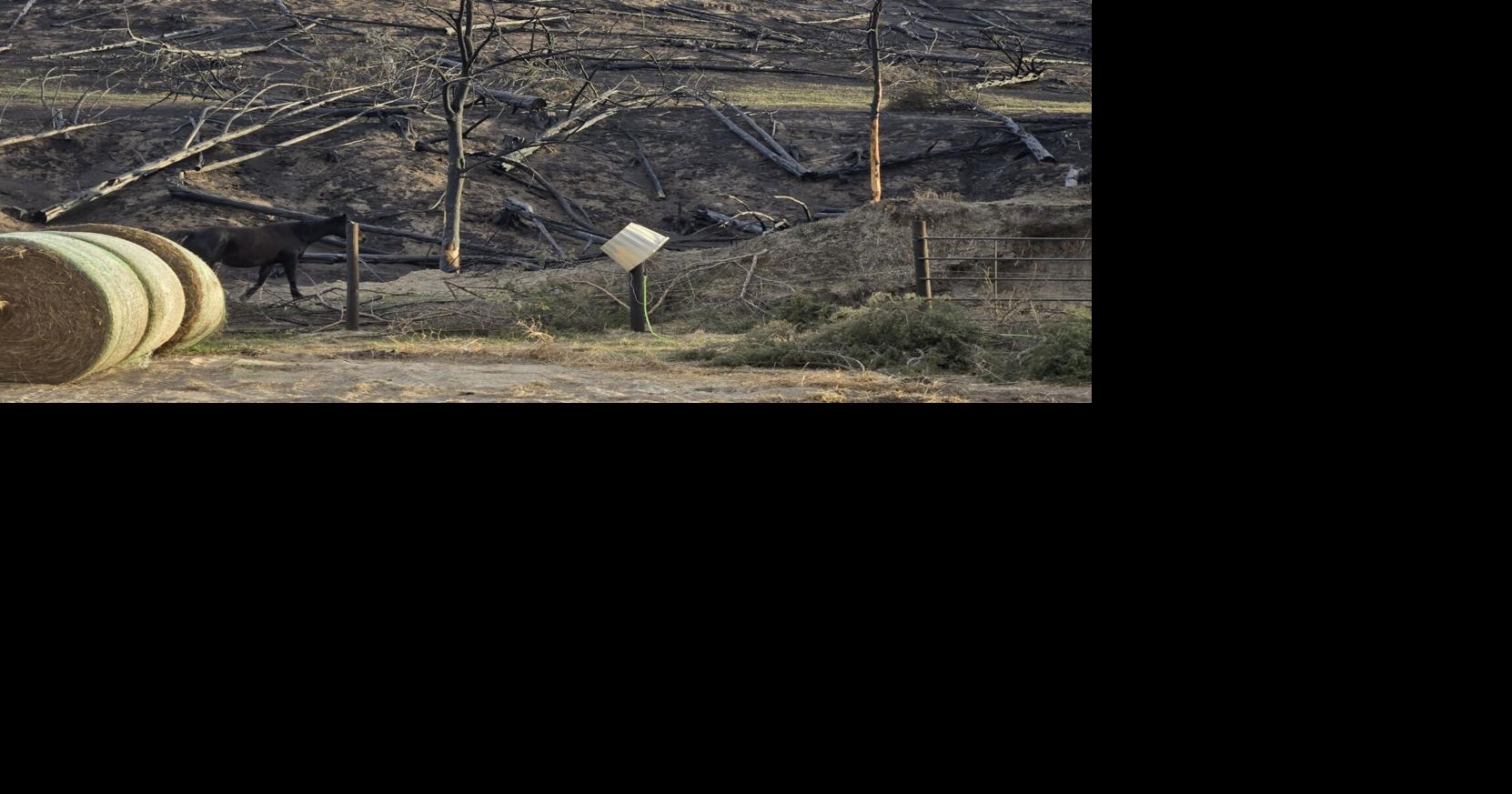 Wildfire recovery resources available through USDA