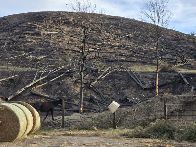 Farm Rescue wildfire relief (1).jpg