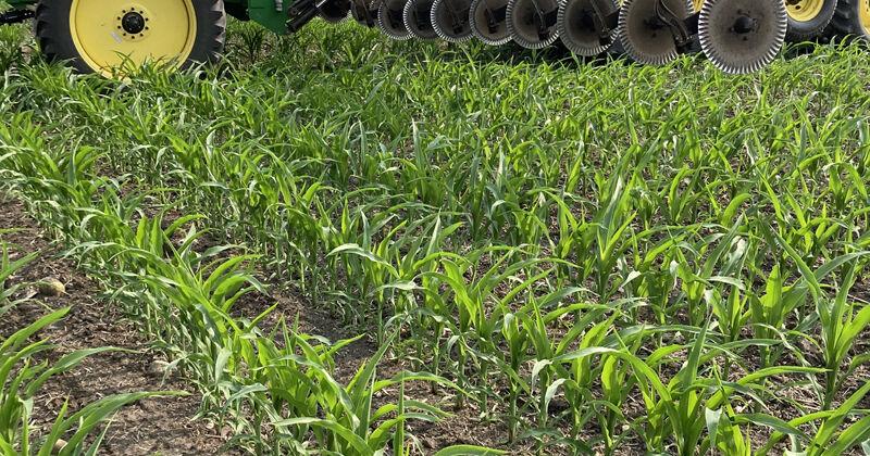 Managing P and K with prices high