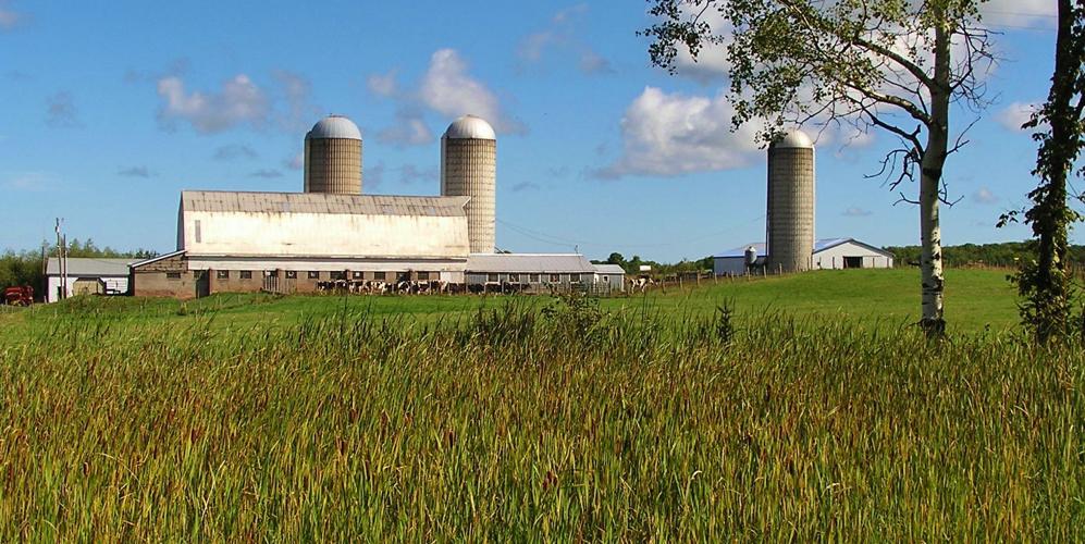 Farm with barn and silos