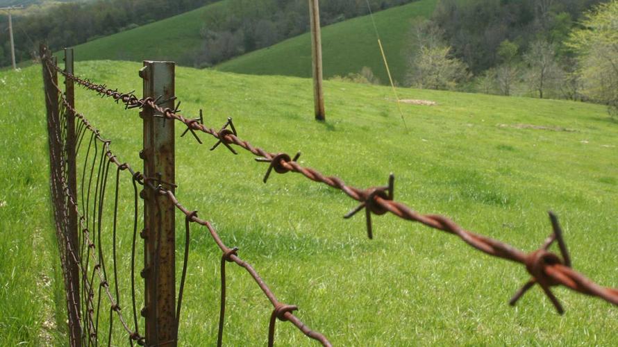 Boone-pasture-fence