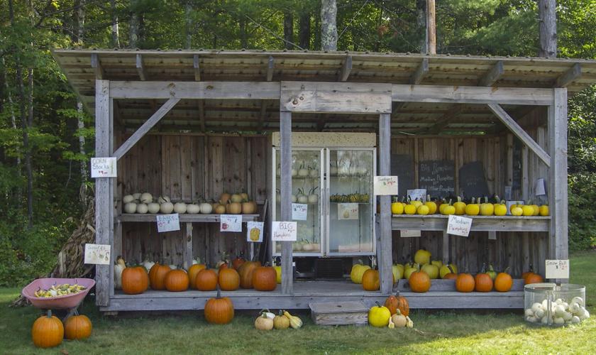 Farm stand