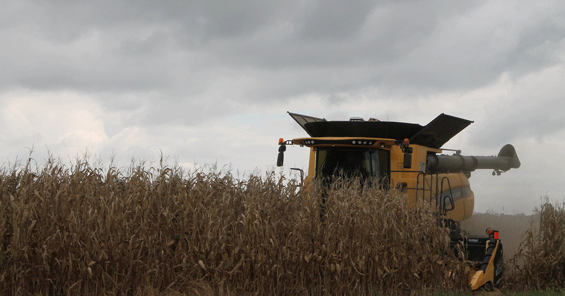 Grain production estimates rise to record high